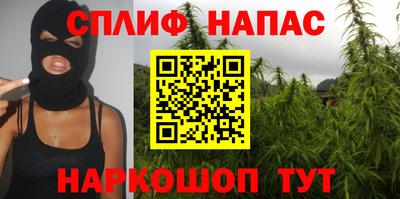 МДПВ Дубна
