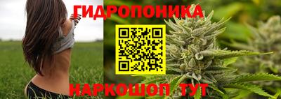 МДПВ Дубна