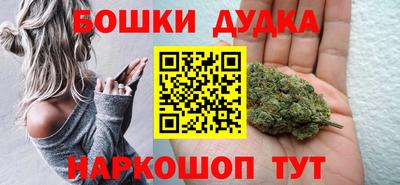 МДПВ Дубна