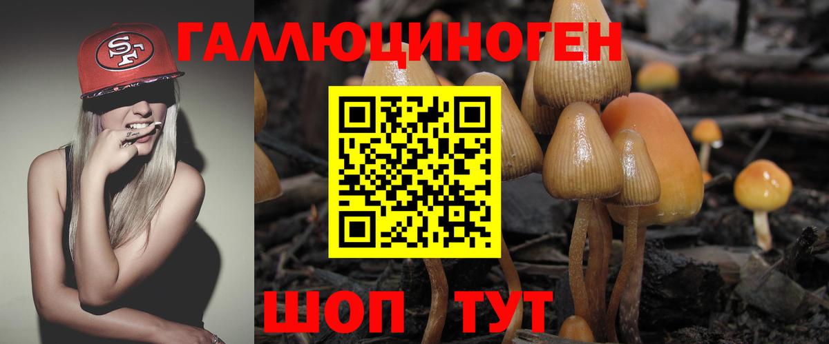 Псилоцибиновые грибы Psilocybine cubensis  Вход с VPN  Псилоцибиновые грибы Psilocybine cubensis  Назарово 